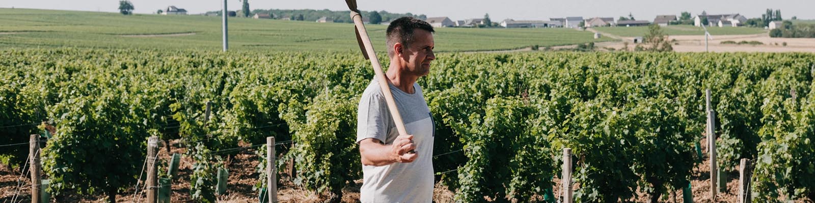 Domaine Chauveau
