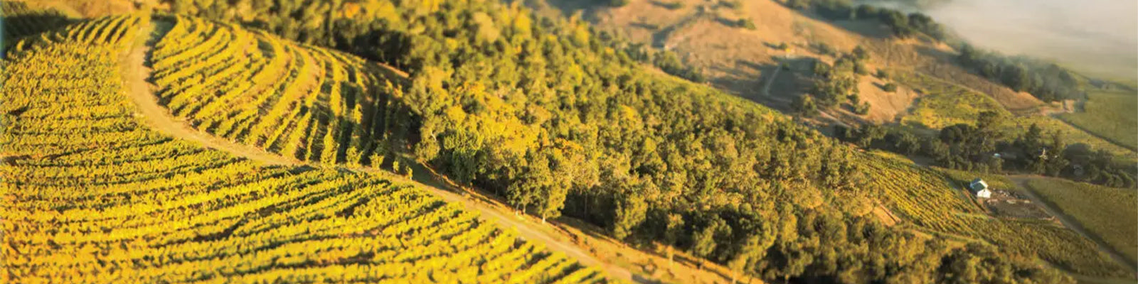 Mayacamas Vineyards