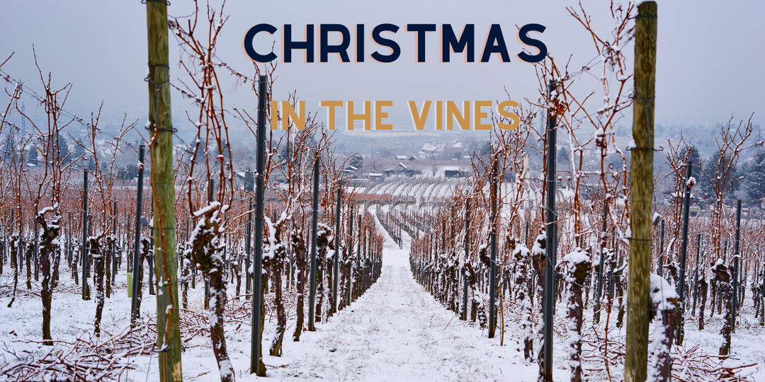 Christmas in the vines