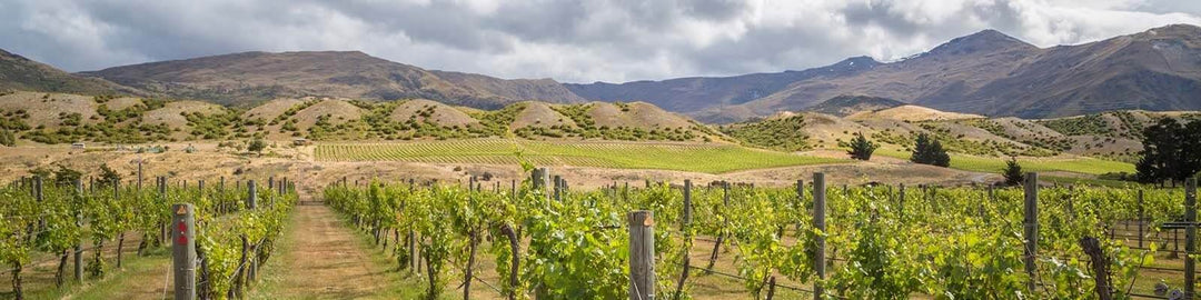 Our collection of Central Otago - Find this at Onshore Cellars your yacht wine supplier
