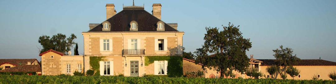 A historic chateau surrounded by lush vineyards, featuring a symmetrical facade with dormer windows and a central balcony. The landscape is bathed in warm sunlight, highlighting the greenery and clear blue sky.
