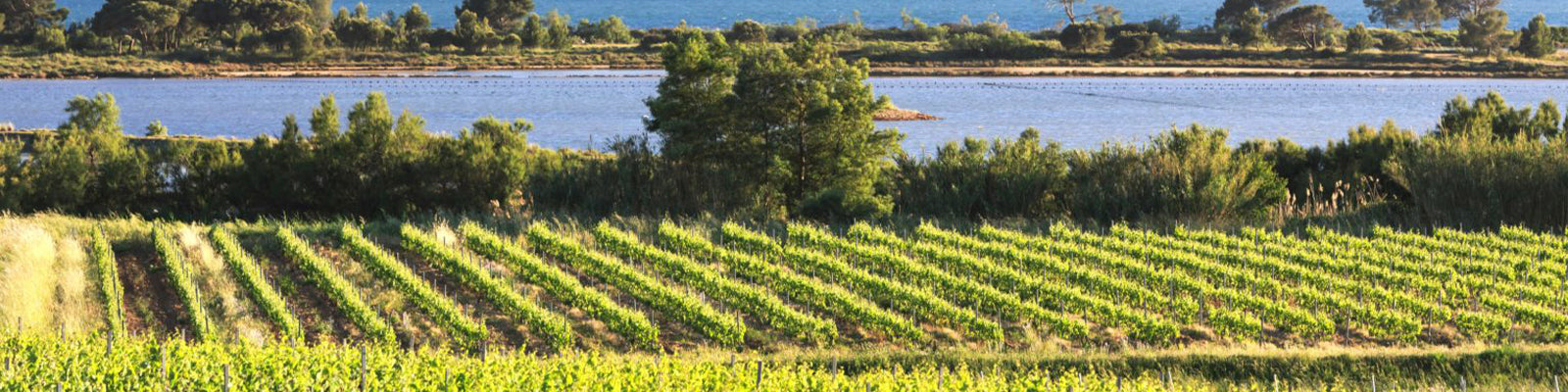 Chateau Saint Marguerite