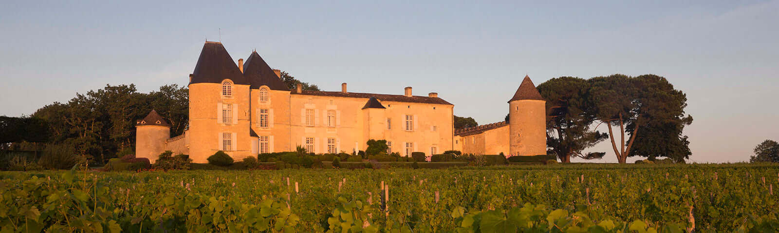 Sweet Wines