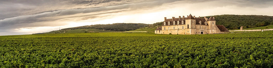 Clos de Vougeot