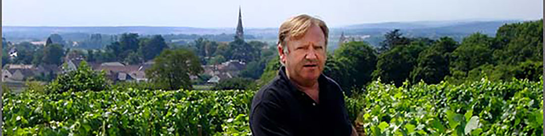 Domaine Patrick Javillier