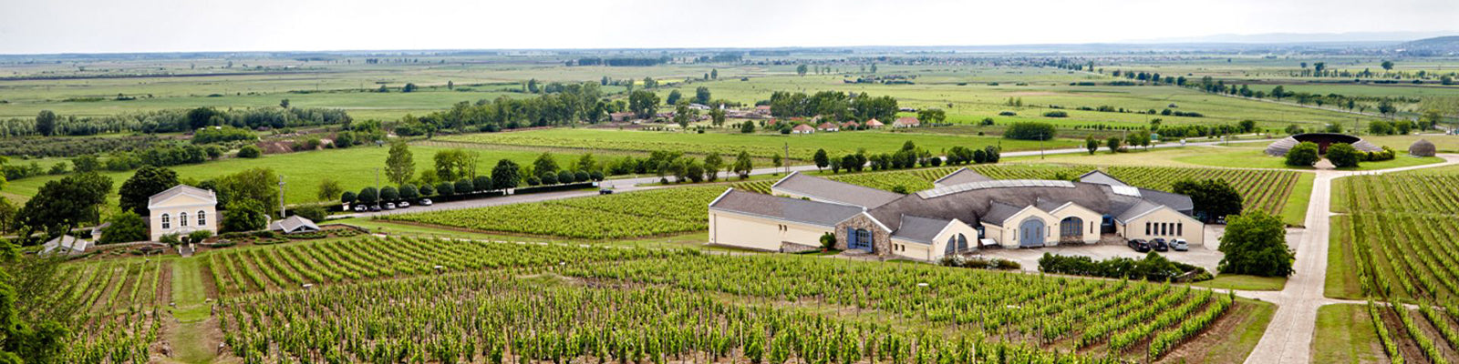 Disznókő Winery