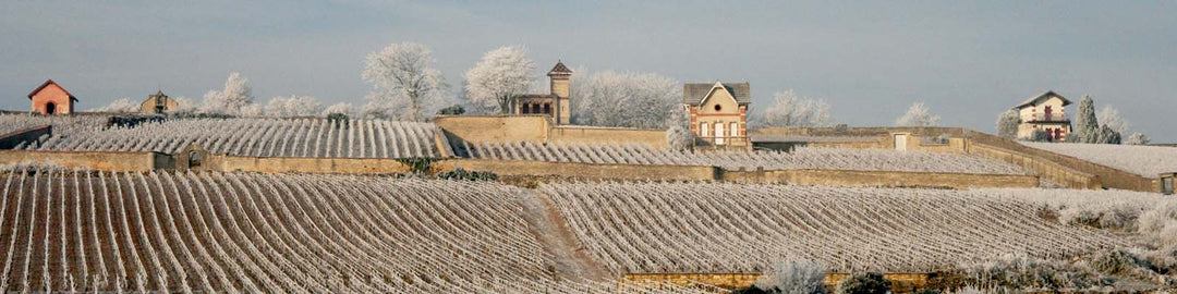 Domaine Pierre Morey