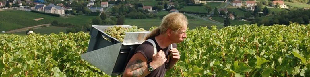 Domaine Vacheron