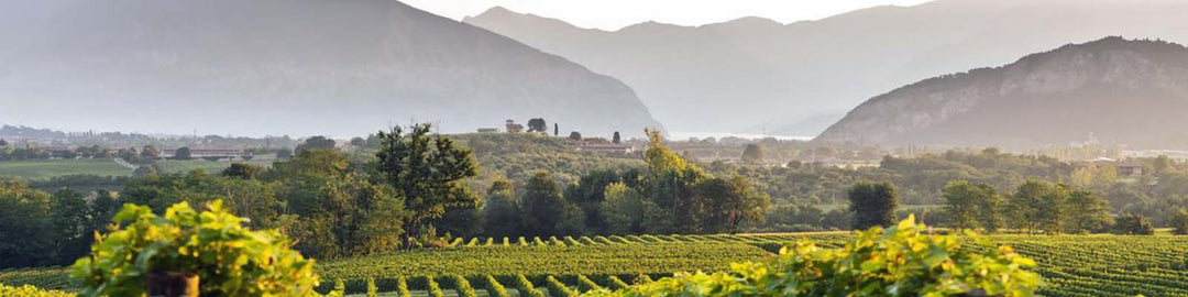 Franciacorta DOCG