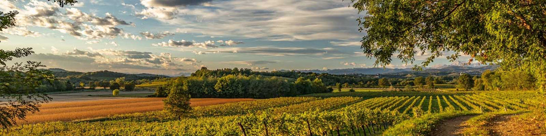 Friuli-Venezia Giulia