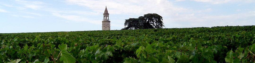 Haut-Médoc