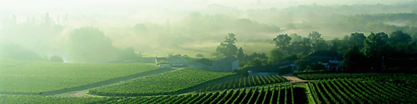 Lalande-de-Pomerol