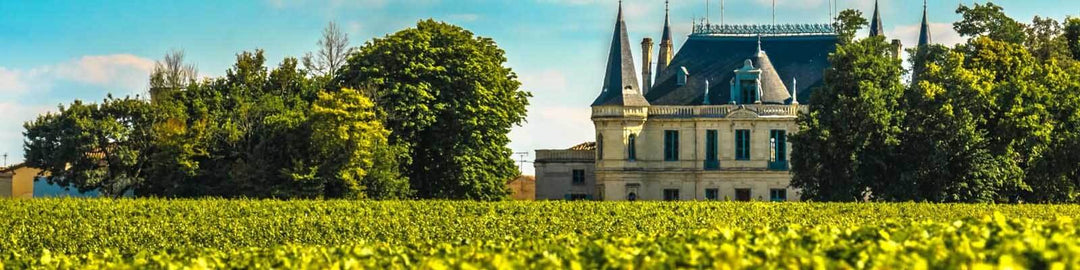 A picturesque castle with turrets surrounded by lush green vineyards and trees under a clear blue sky.