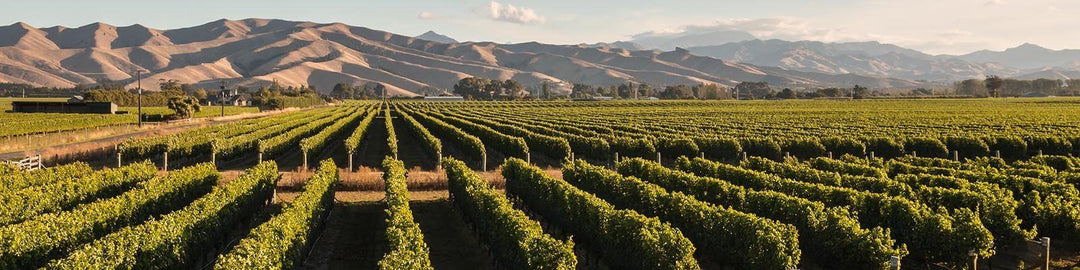 Our collection of Marlborough - Find this at Onshore Cellars your yacht wine supplier