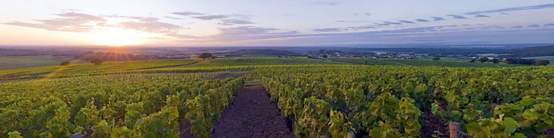 Montagny