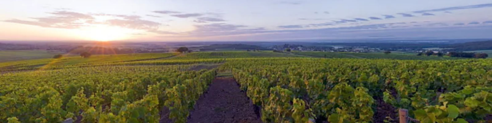 Montagny