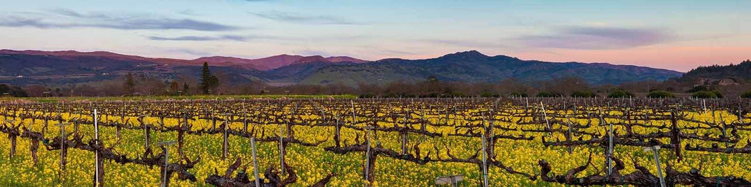 Our collection of Napa Valley - Find this at Onshore Cellars your yacht wine supplier