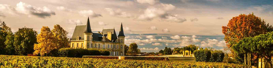 A picturesque chateau with tall spires sits amid vibrant autumn foliage and expansive vineyards, under a partly cloudy sky.