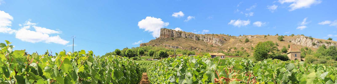 Pouilly-Fuissé