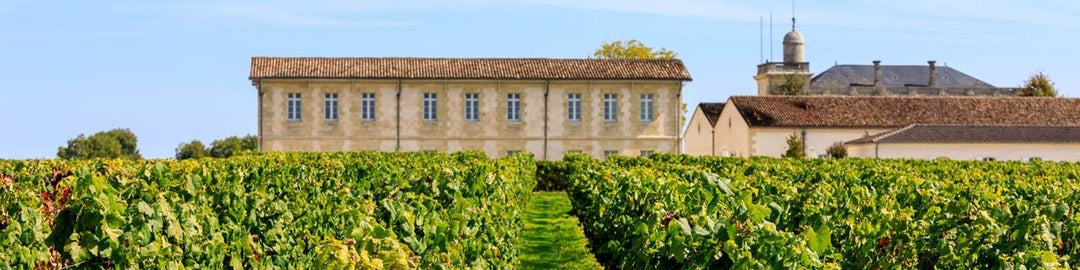 Our collection of Saint Julien - Find this at Onshore Cellars your yacht wine supplier