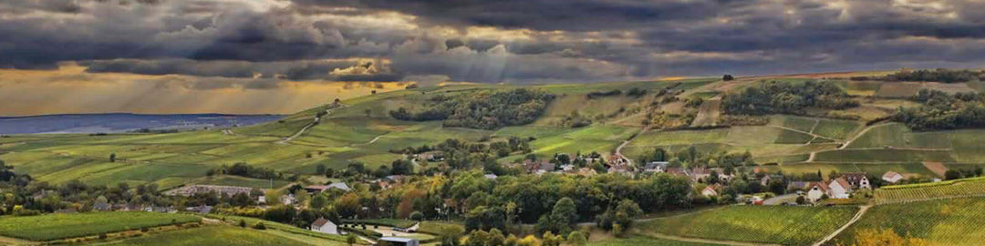 Sancerre