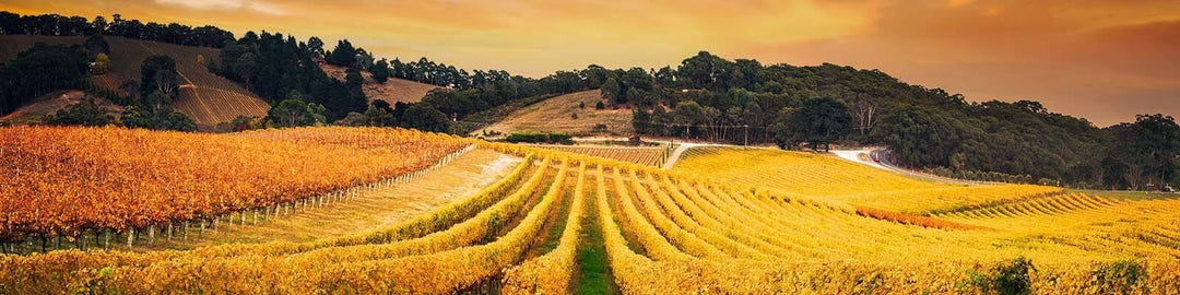 Our collection of South Australia - Find this at Onshore Cellars your yacht wine supplier