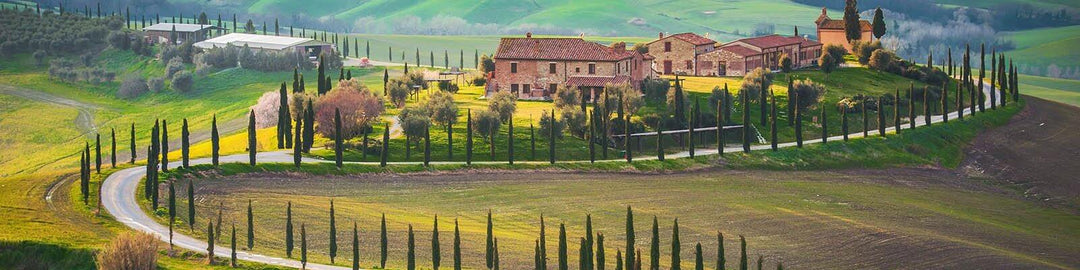 Our collection of Tuscany - Find this at Onshore Cellars your yacht wine supplier
