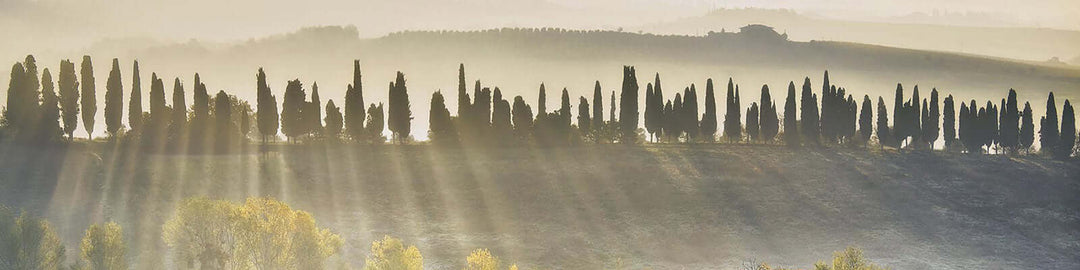 Toscana IGT