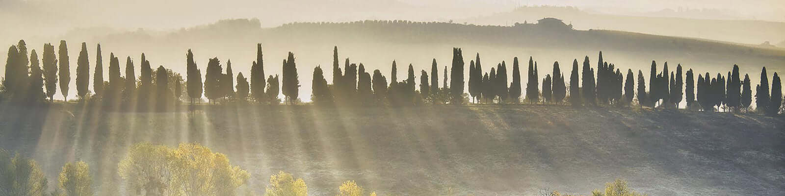Toscana IGT