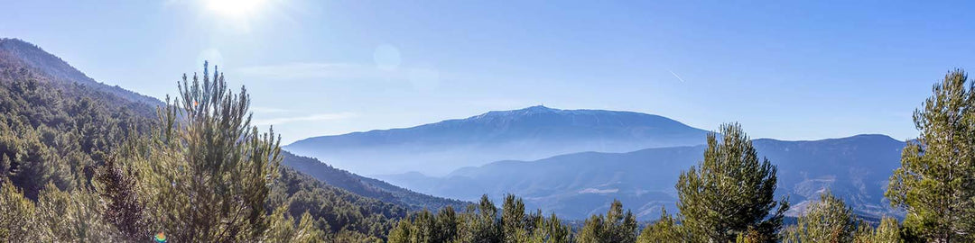 Ventoux