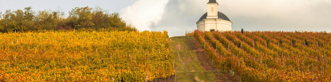 Chapelle-Chambertin