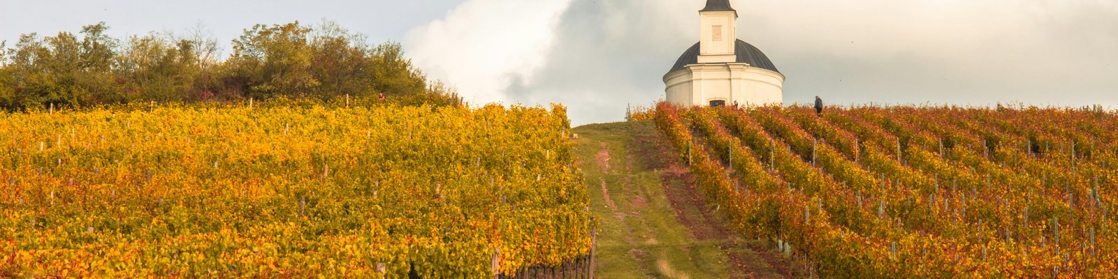 Chapelle-Chambertin