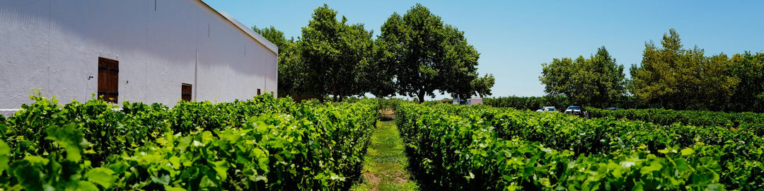 Coonawarra