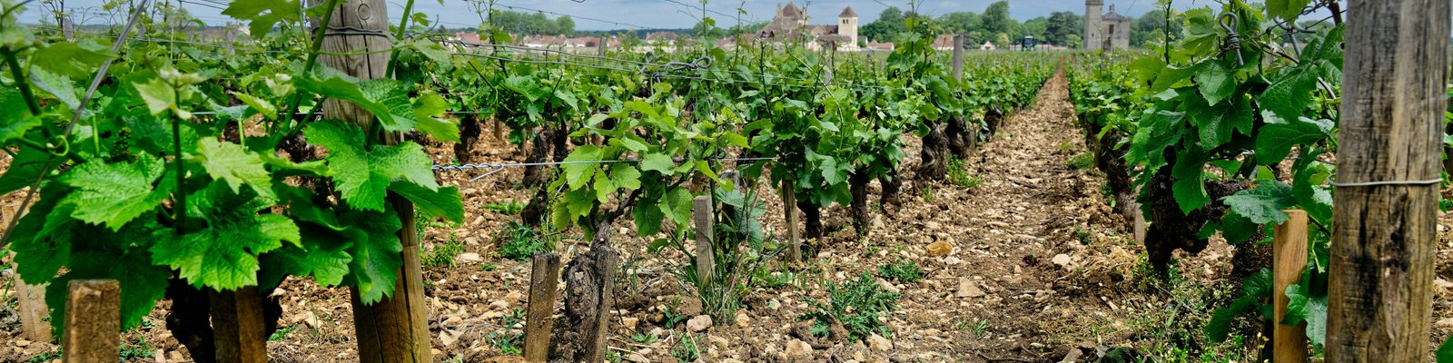 Côtes du Rhône Villages