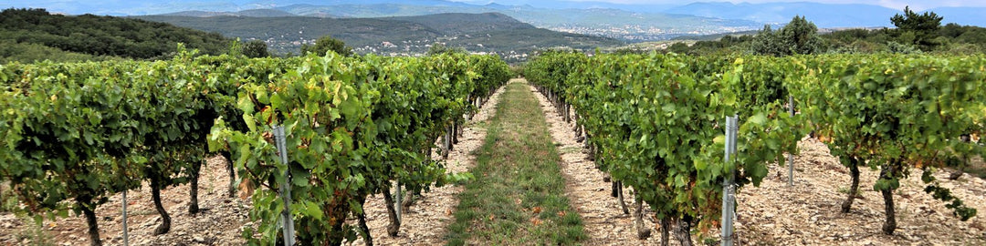 Fleurie