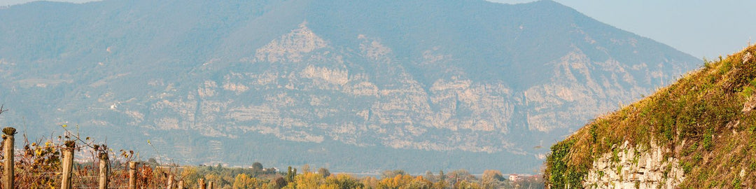 Prosecco di Valdobbiadene Superiore DOCG