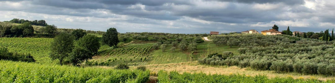 Sauternes
