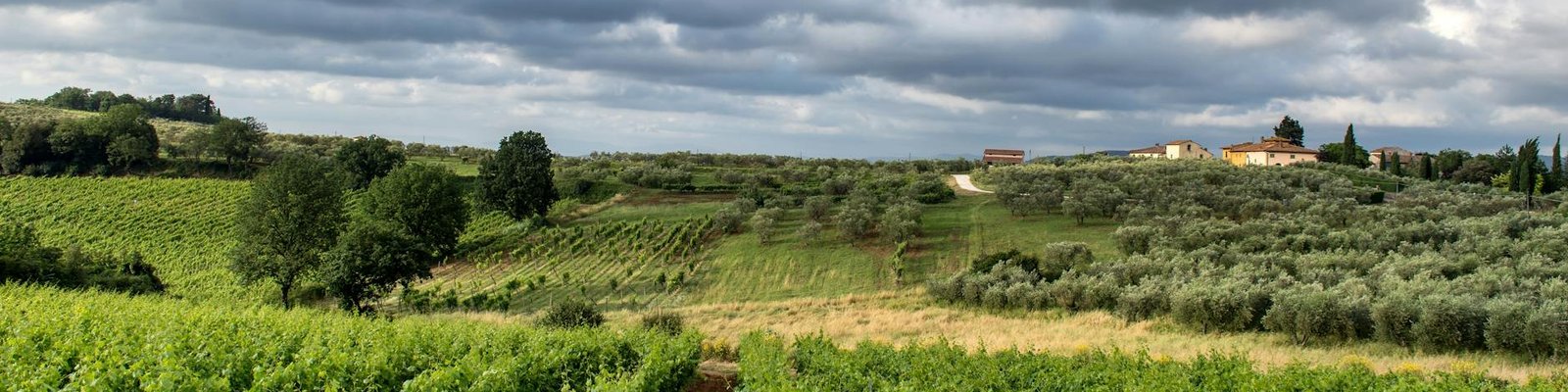 Sauternes