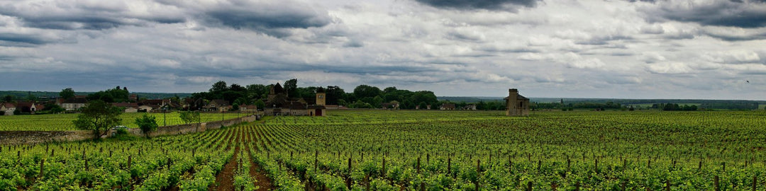 Savigny-les-Beaune