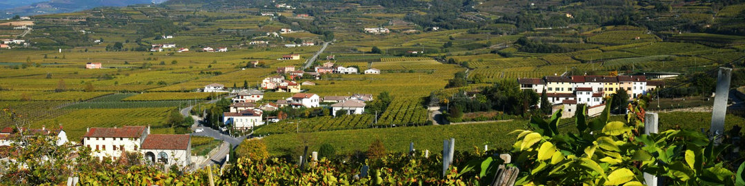 Soave DOC