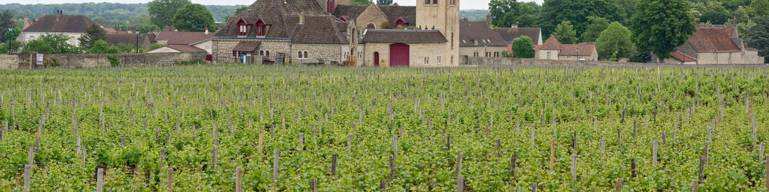 Vin De France
