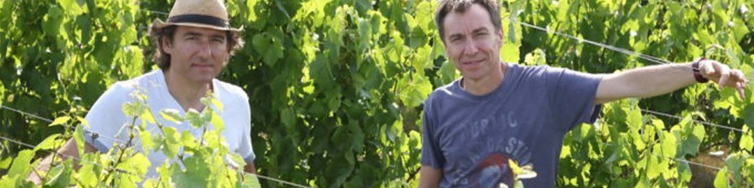 Baettig - Onshore Cellars