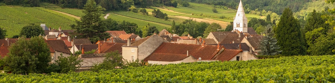 Côte de Beaune
