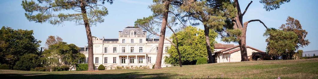 A grand estate with a white mansion surrounded by tall trees and a lush green lawn under a clear blue sky.