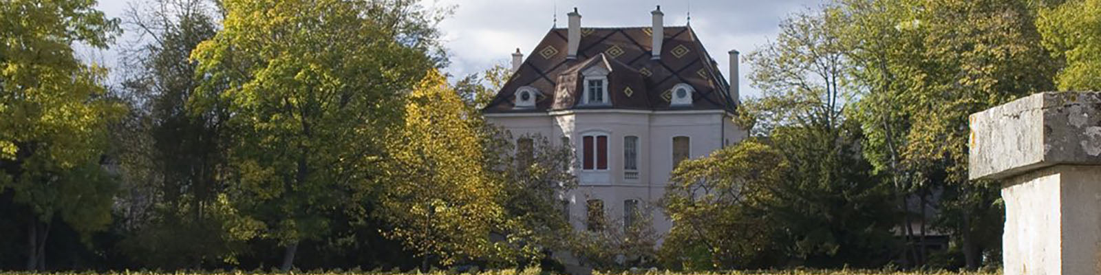 Domaine Des Comtes Lafon