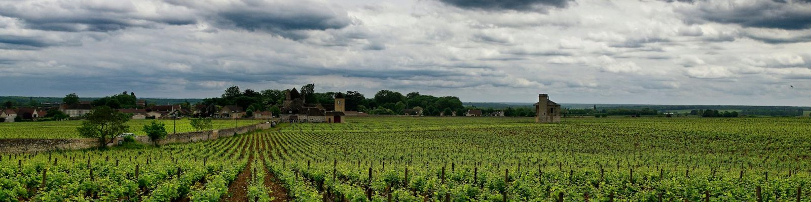 Loire - Red Wines