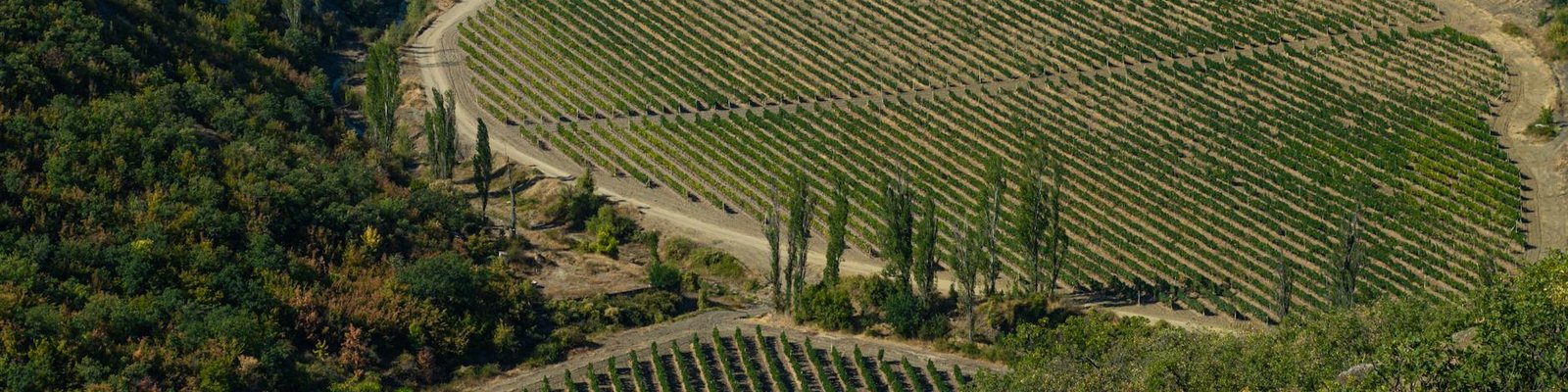 Maipo Valley