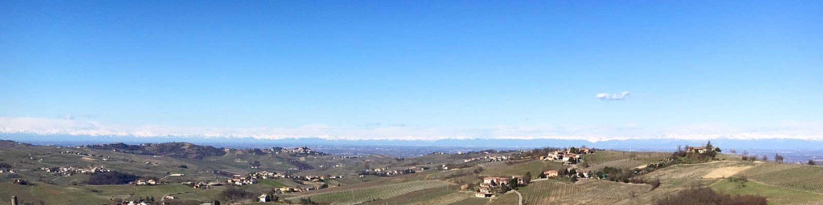 Belvedere