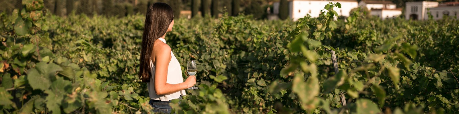 Bodegues Sumarroca