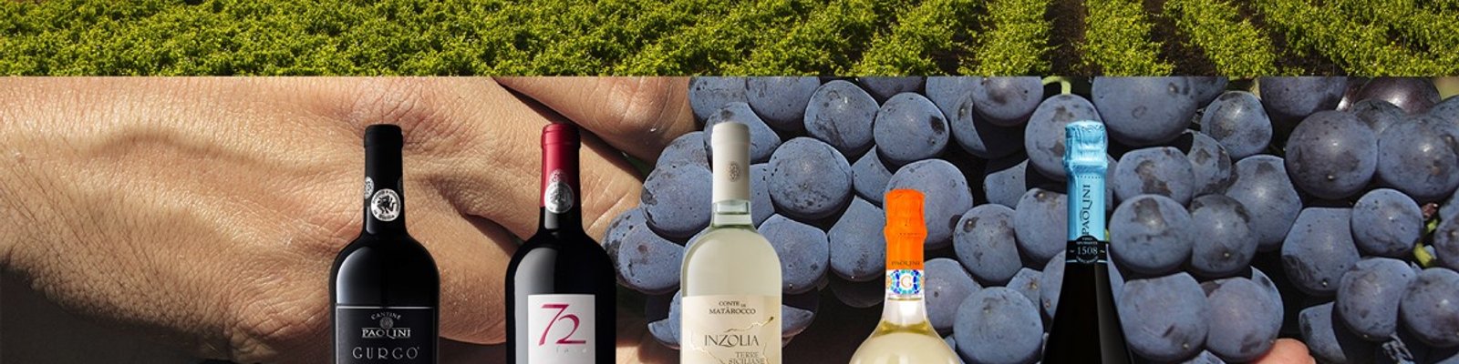Cantine Paolini